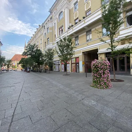 Apartment Flat Napoca
